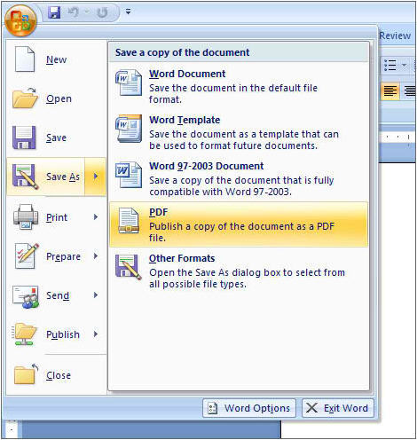 Microsoft Office File Validation 