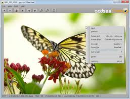 ACDSee Photo Manager 