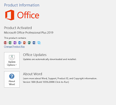 Microsoft Office Professional Plus