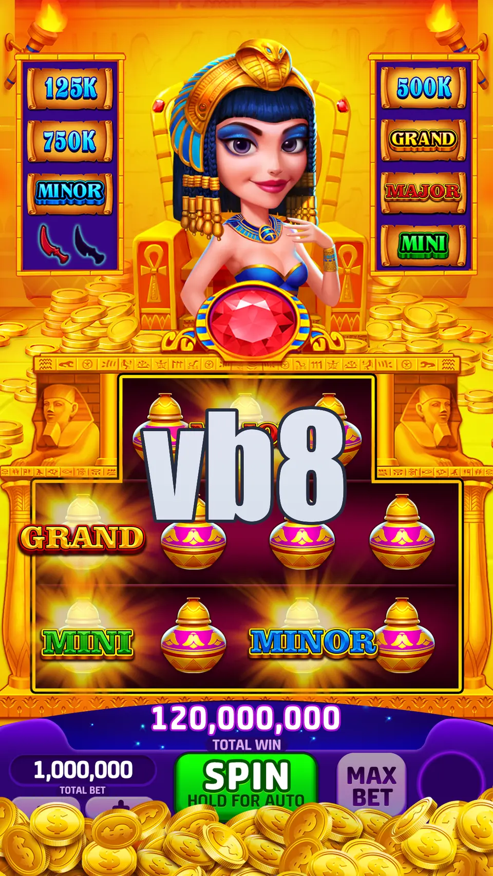 vb8 লগইন
